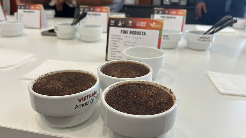 Sản phẩm cà phê Robusta tại hội nghị