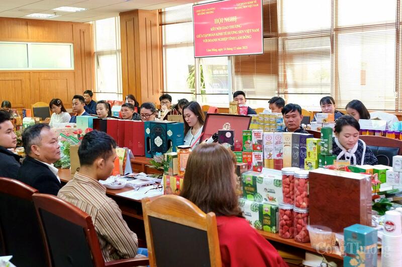 30 doanh nghiệp Lâm Đồng tham gia kết nối. Ảnh: Diễm Thương