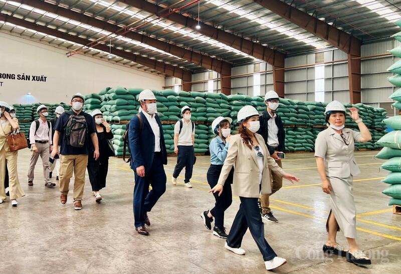 Đoàn doanh nghiệp Nhật Bản tham quan Công ty TNHH Vĩnh Hiệp. Ảnh: Hiền Mai
