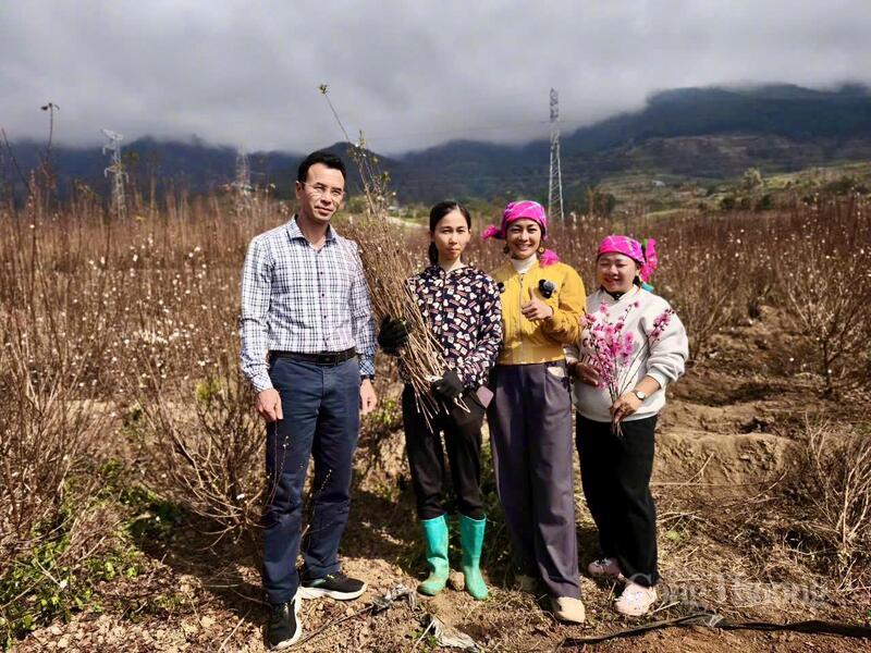 Ông Nguyễn Bá Kiện, Phó Chủ tịch HĐND xã Bình Lư cùng với chủ vườn và các TikToker chia sẻ về cây nhất chi mai trong chiến dịch “Tết ta ba miền – Chở xuân về nhà”.