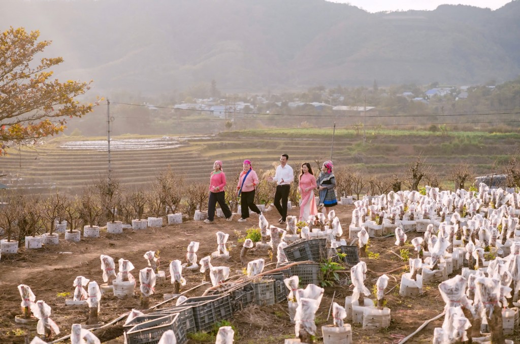 Ông Nguyễn Bá Kiện (áo trắng) tích cực cùng bà con xây dựng kênh quảng bá văn hoá và sản vật địa phương Lai Châu và TikTok Shop phối hợp khởi động mô hình xã thương mại điện tử “Bình Lư vươn mình”