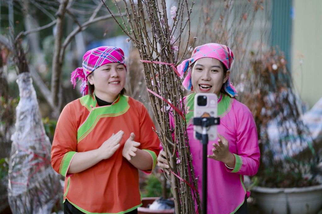 Hình ảnh. Phiên livestream _Tết Ta Ba Miền - Chở Xuân Về Nhà_ đã giúp bà con tiêu thụ hơn 1200 đơn hàng hoa đào, nhất chi mai và miến dong chỉ trong 4 giờ_1 Hình ảnh. Phiên livestream _Tết Ta Ba Miền - Chở Xuân Về Nhà_ đã giúp bà con tiêu thụ hơn 1200 đơn hàng hoa đào, nhất chi mai và miến dong chỉ trong 4 giờ_1