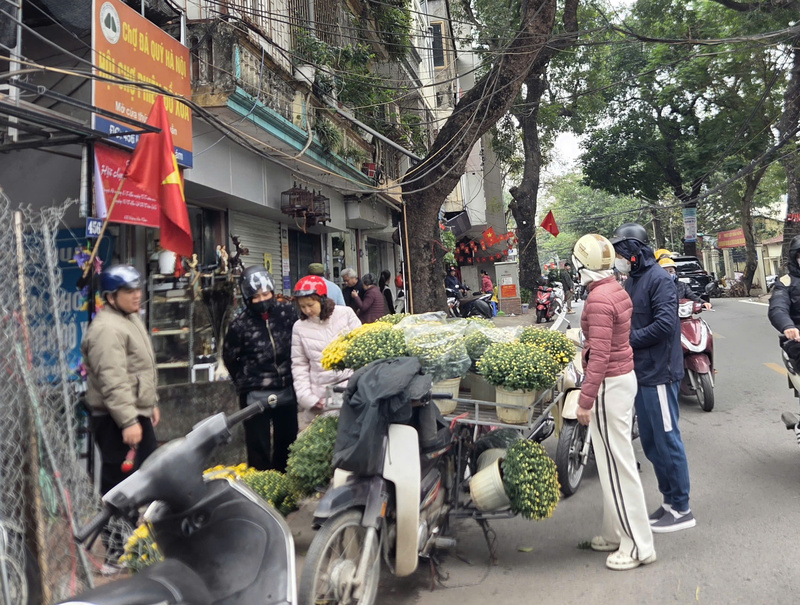 Hoa cúc chậu nhỏ được người bán chở bằng xe máy, dừng bán linh hoạt trên các tuyến phố những ngày cận Tết.