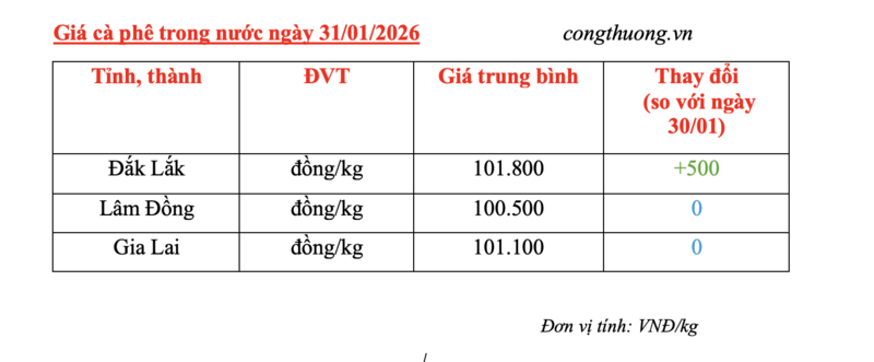 Giá cà phê hôm nay 31/1/2026: Tăng nhẹ tại Đắk Lắk - 4