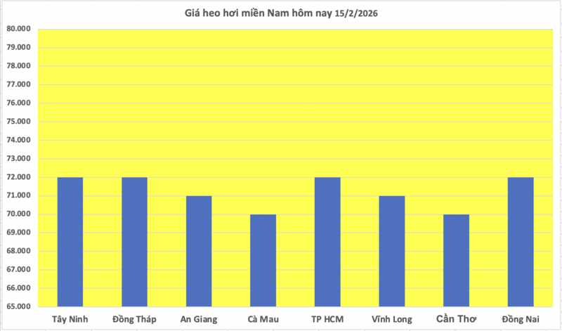 Giá heo hơi hôm nay 15/2/2026: Tiếp tục đi ngang - 3