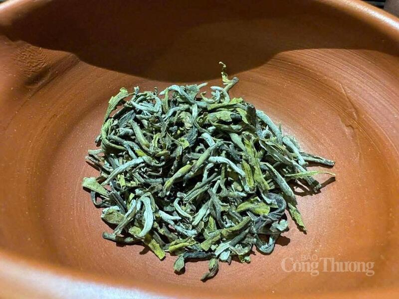 Chè Shan Tuyết sinh trưởng tốt ở độ cao từ 800 m trở lên. Riêng vùng Suối Tọ, nơi chúng tôi khai thác chè hoang dã, nằm ở độ cao hơn 1.600 m, khí hậu khắc nghiệt mang lại một hương vị rất riêng. Ảnh: N.H