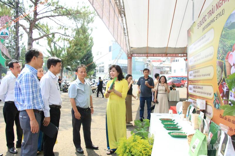 Các đại biểu tham quan không gian trưng bày. Ảnh: Hiền Mai