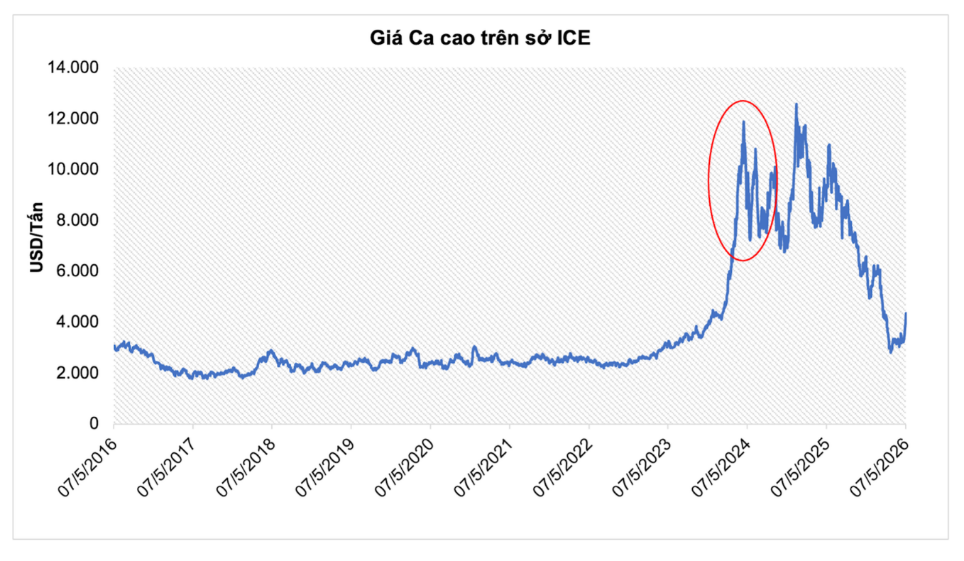 anh-2_-gia-ca-cao-tren-so-ice-(1).png