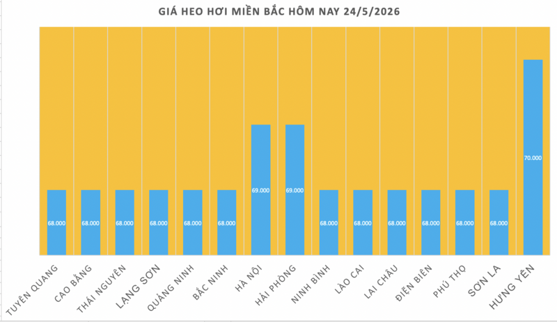 Giá heo hơi hôm nay 24/5/2026: Đồng loạt đi ngang - 1