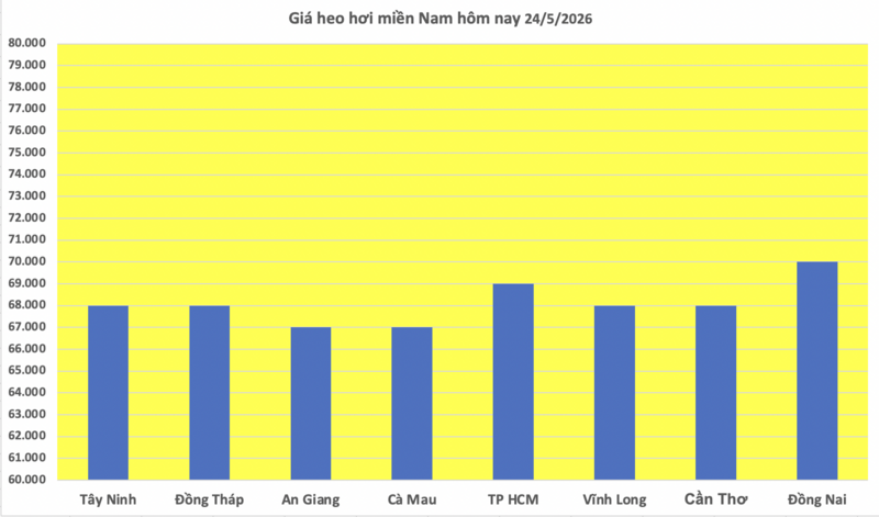 Giá heo hơi hôm nay 24/5/2026: Đồng loạt đi ngang - 3