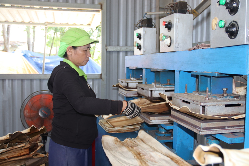Cùng với cải thiện môi trường đầu tư, các chính sách để giúp doanh nghiệp mở rộng thị trường tiêu thụ hàng hóa trong nước và xuất khẩu cũng được chú trọng. Trong ảnh: mặt hàng chén dĩa bằng mo cau được xuất khẩu qua hơn 5 nước trên thế giới. Ảnh: Nguyễn Dương