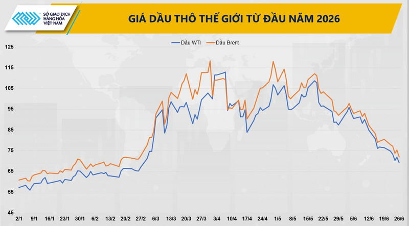 Diễn biến giá dầu thô thế giới. Nguồn: MXV