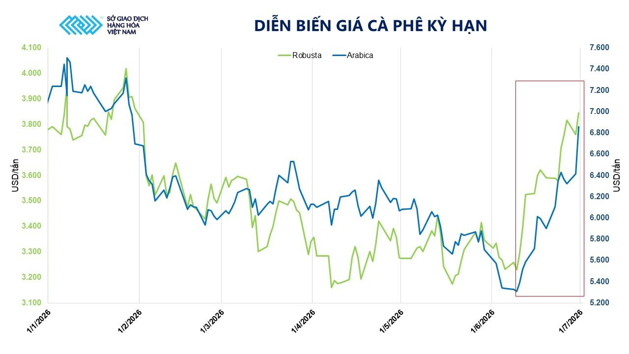 anh-2_-dien-bien-gia-ca-phe-ky-han.jpg