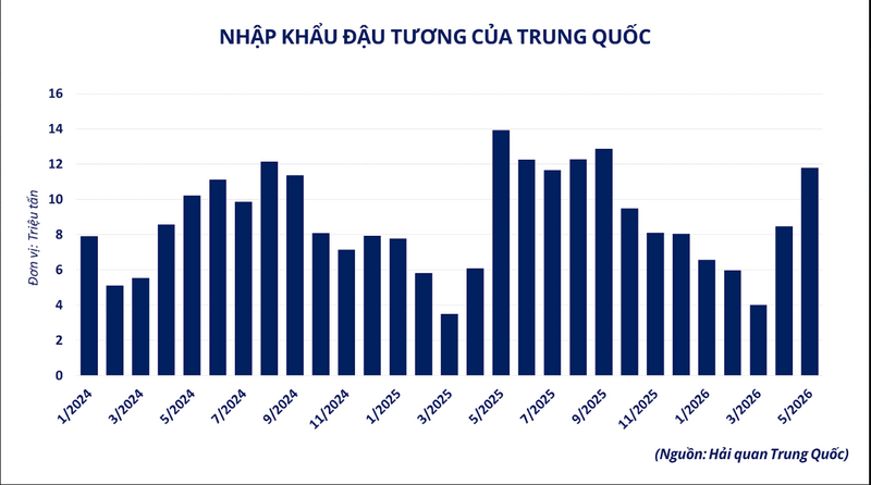Nhập khẩu đậu tương của Trung Quốc.