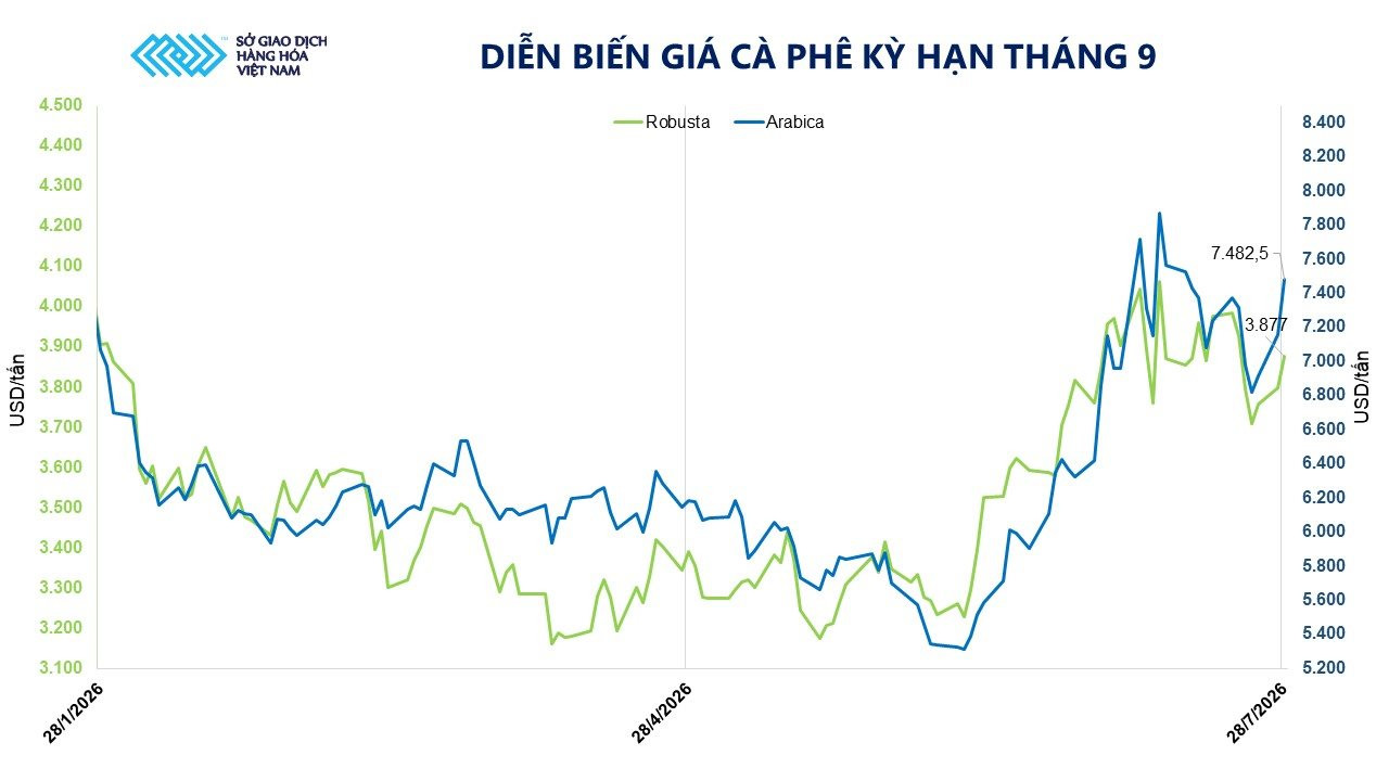 anh-3_-dien-bien-gia-ca-phe-ky-han-thang-9.jpg