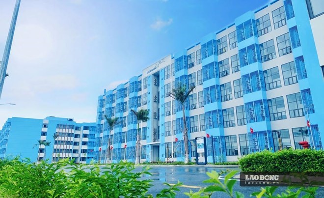 Đặt nhà ở cho thuê ở vị trí trụ cột chiến lược