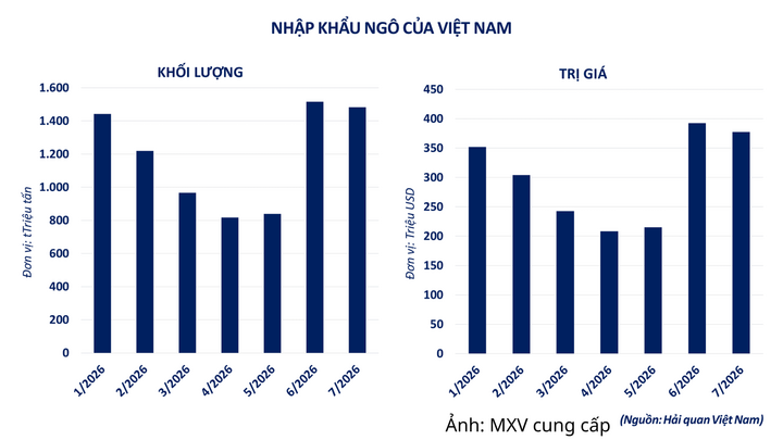 Nhập khẩu ngô của Việt Nam