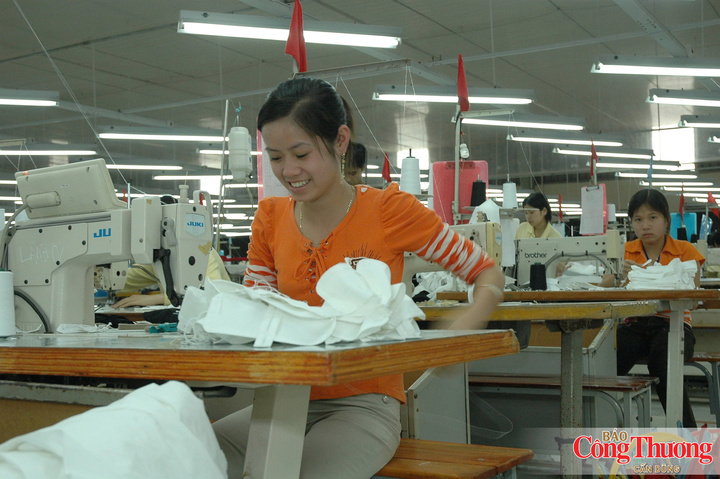 Doanh nghiệp dệt may tích cực tìm kiếm đơn hàng cho những tháng cuối năm