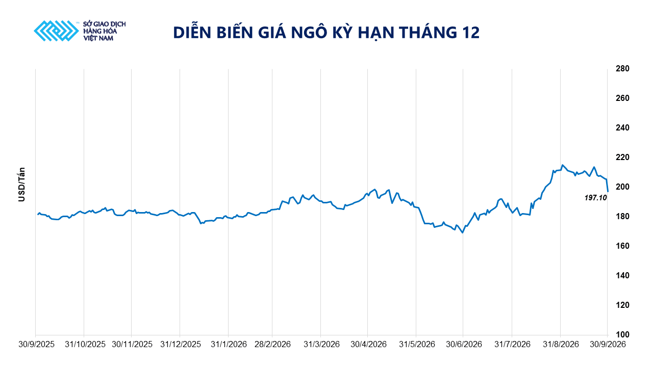 anh-4_-dien-bien-gia-ngo-cbot.png