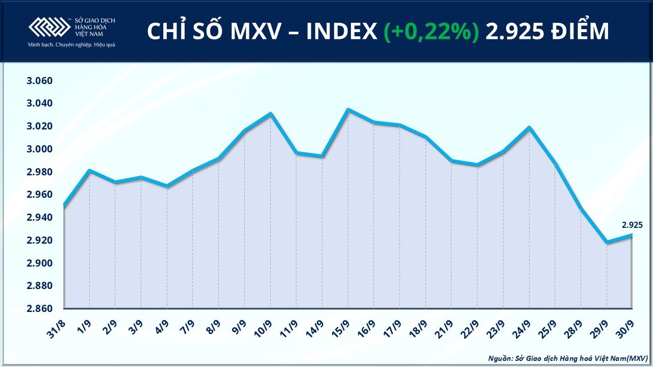anh-1_-chi-so-mxv-index.jpg