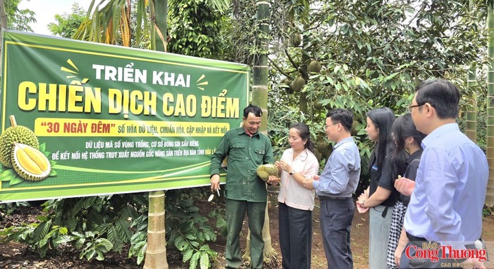 Đắk Lắk triển khai chiến dịch cao điểm “30 ngày đêm” số hóa, chuẩn hóa, cập nhật và kết nối dữ liệu mã số vùng trồng sầu riêng, cơ sở đóng gói với Hệ thống truy xuất nguồn gốc nông sản.